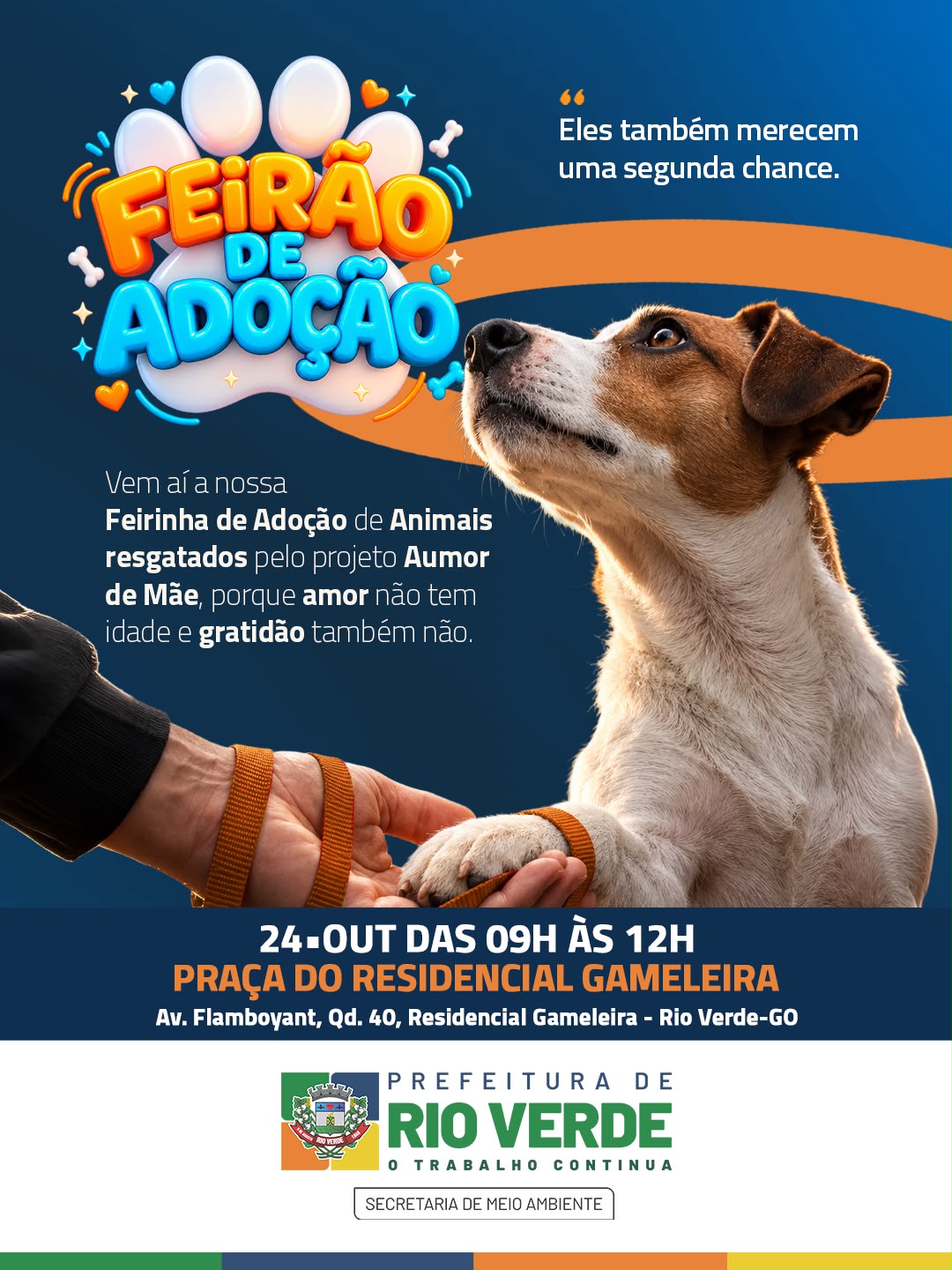 Prefeitura de Rio Verde realiza neste sábado Feira de Adoção com mais de 40 cães resgatados